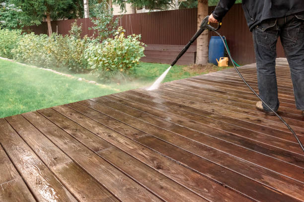 Best Sidewalk and Walkway Cleaning  in Lake Ripley, WI