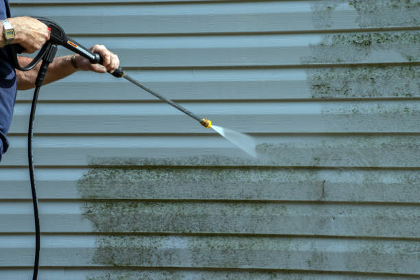Best Fence Cleaning  in Lake Ripley, WI